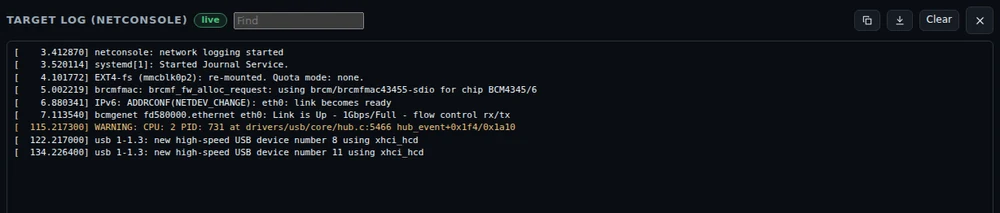 The target's kernel log, received over the network